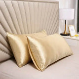 Natural Mulberry Silk Pillowcase Set For Hair Skin Protection - Sleep Galleria