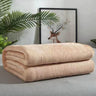 Soft Portable Coral Fleece Flannel Blanket 70x100cm - Omega Lifestyles