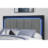 Modern King Storage Bed Frame With Bookcase Headboard - Omega Lifestyles
