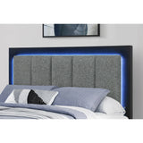 Queen Modern Rubber Wood Panel Bed With Bookcase Storage - Omega Lifestyles
