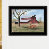 Framed Multicolor Ready To Hang Wall Art Print - Omega Lifestyles