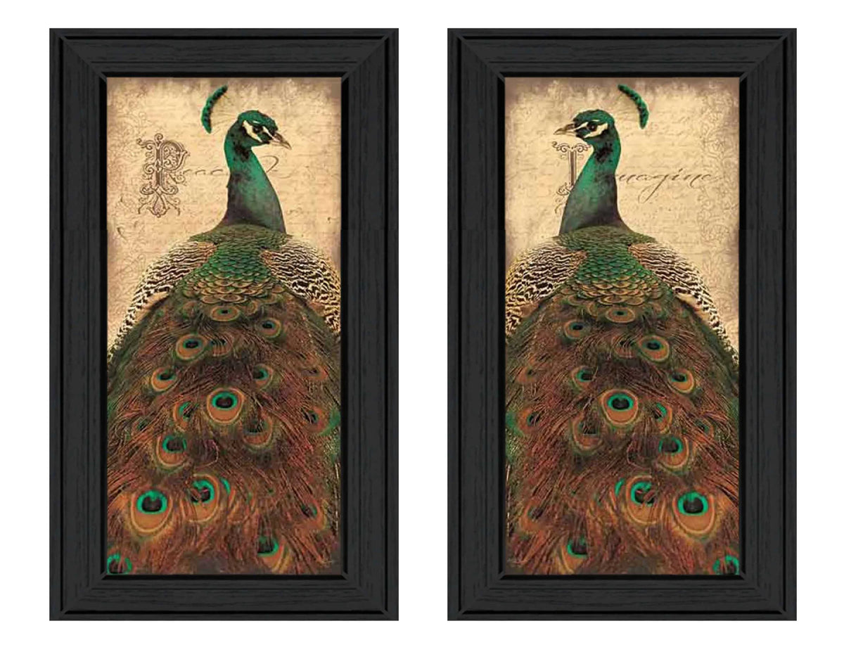 Peacock Collection 2-Piece Multicolor MDF Wall Art Set - Omega Lifestyles
