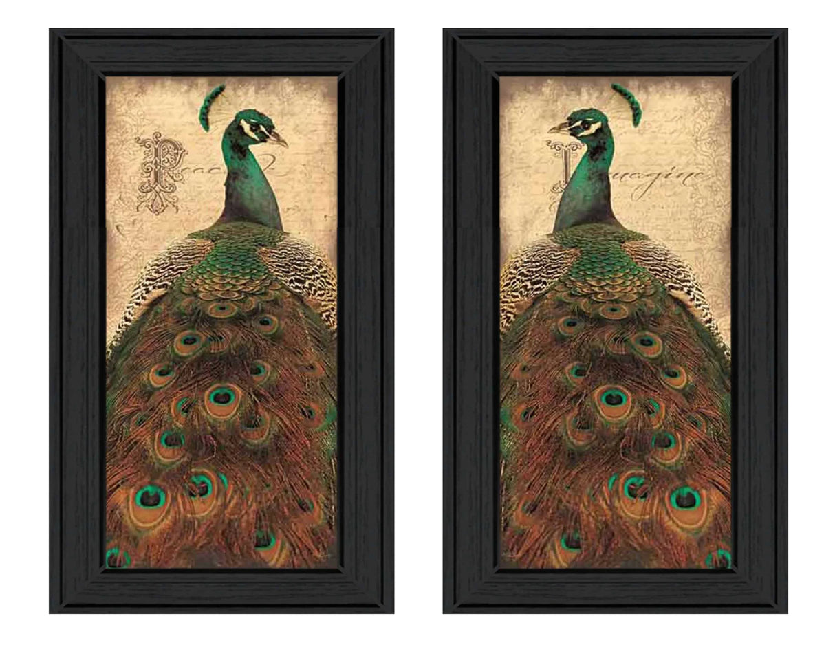 Peacock Collection 2-Piece Multicolor MDF Wall Art Set - Omega Lifestyles