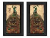 Peacock Collection 2-Piece Multicolor MDF Wall Art Set - Omega Lifestyles