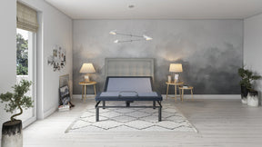 California King BT3000 Adjustable Base With Massage and USB - Omega Lifestyles