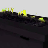 20732611