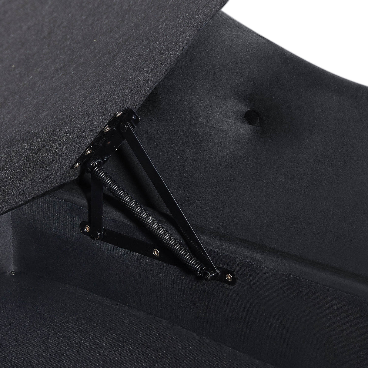 Velvet Upholstered Multifunctional Storage Chaise Lounge - Omega Lifestyles