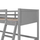 Solid Wood Twin Loft Bed With Ladder Gray - Omega Lifestyles