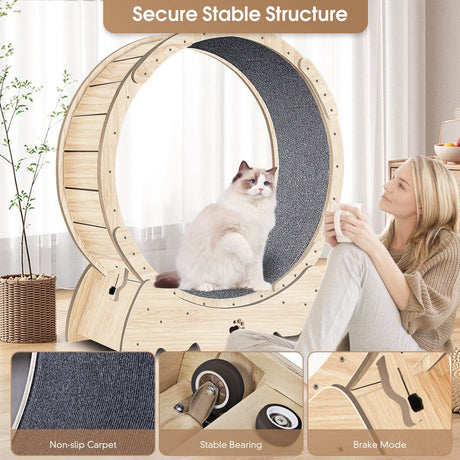 Solid Wood Indoor Cat Exercise Running Wheel - Sleep Galleria