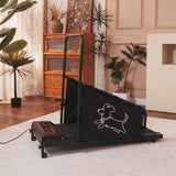 Pet Treadmill For Medium Dogs With Remote Control - Omega Lifestyles