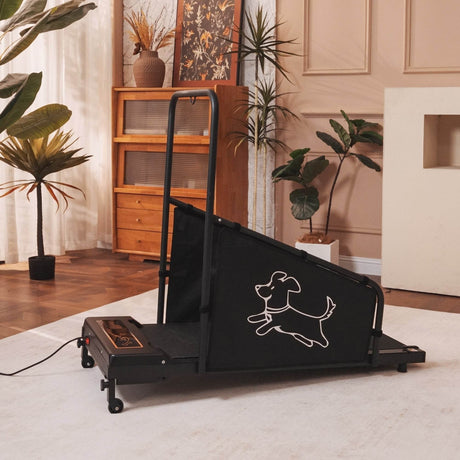 Pet Treadmill For Medium Dogs With Remote Control - Omega Lifestyles