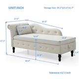 Velvet Upholstered Storage Chaise Lounge With Pillow - Omega Lifestyles
