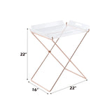 Clear Acrylic Metal Base Rectangular Tray Table - Omega Lifestyles