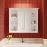 Modern White Wall Mounted Medicine Cabinet With Adjustable Shelves - Omega Lifestyles