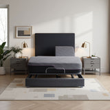 Queen Firm 11-Inch Cooling Latex Foam Flex Top Mattress