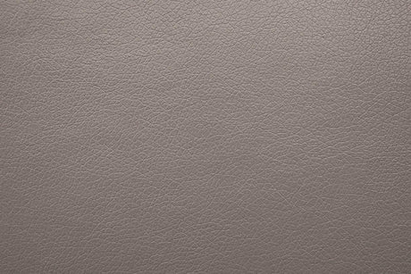 Contemporary Light Brown Power Recliner With USB Chargers - Omega Lifestyles