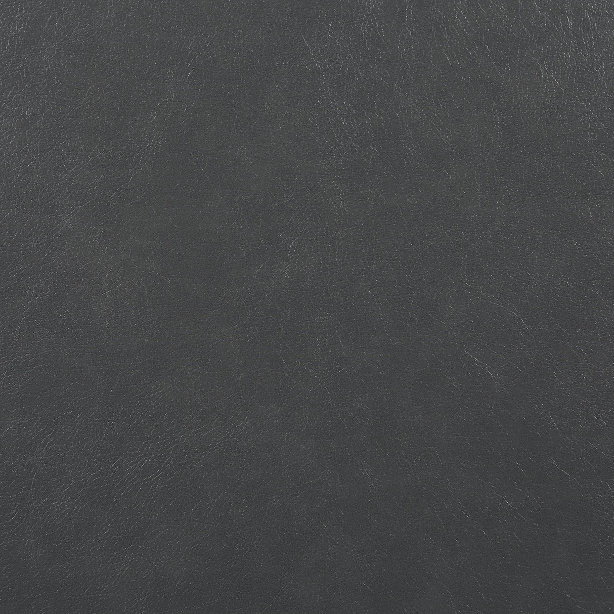 20557564