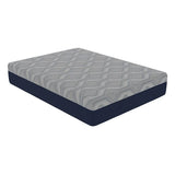 Medium 12-Inch Isotonic Memory Foam Hybrid Queen Mattress - Omega Lifestyles