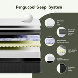 Medium 10-Inch Cooling Charcoal Memory Foam Mattress - Omega Lifestyles