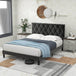 Velvet Upholstered Queen Platform Bed Frame With Headboard - Omega Lifestyles