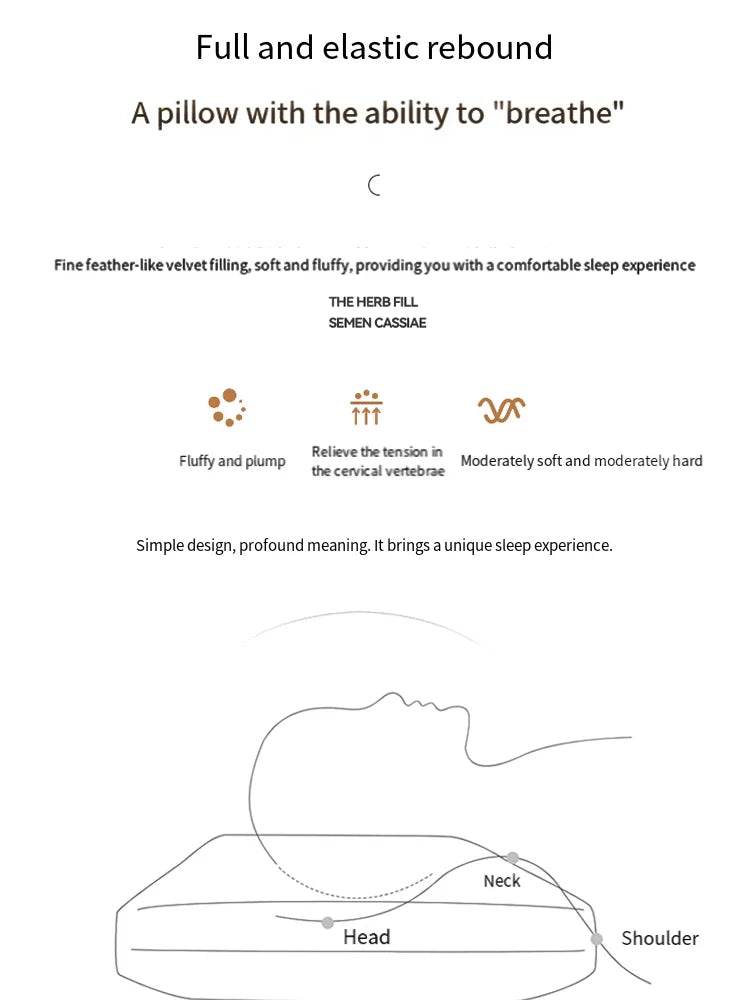 Antibacterial Cervical Spine Support Pillow - Omega Lifestyles