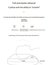 Antibacterial Cervical Spine Support Pillow - Omega Lifestyles