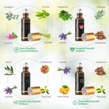 28-Piece Natural Essential Oils Diffuser Set - Sleep Galleria