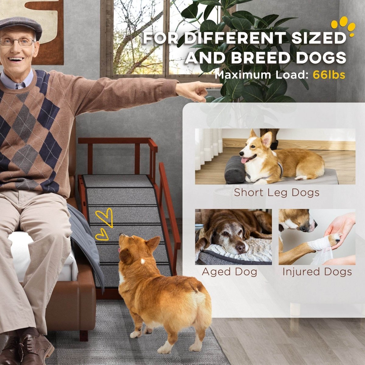 Pine Wood Dog Ramp With Removable Guardrails - Omega Lifestyles