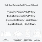 Aloe Vera Infused Waterproof Mattress Protector - Sleep Galleria
