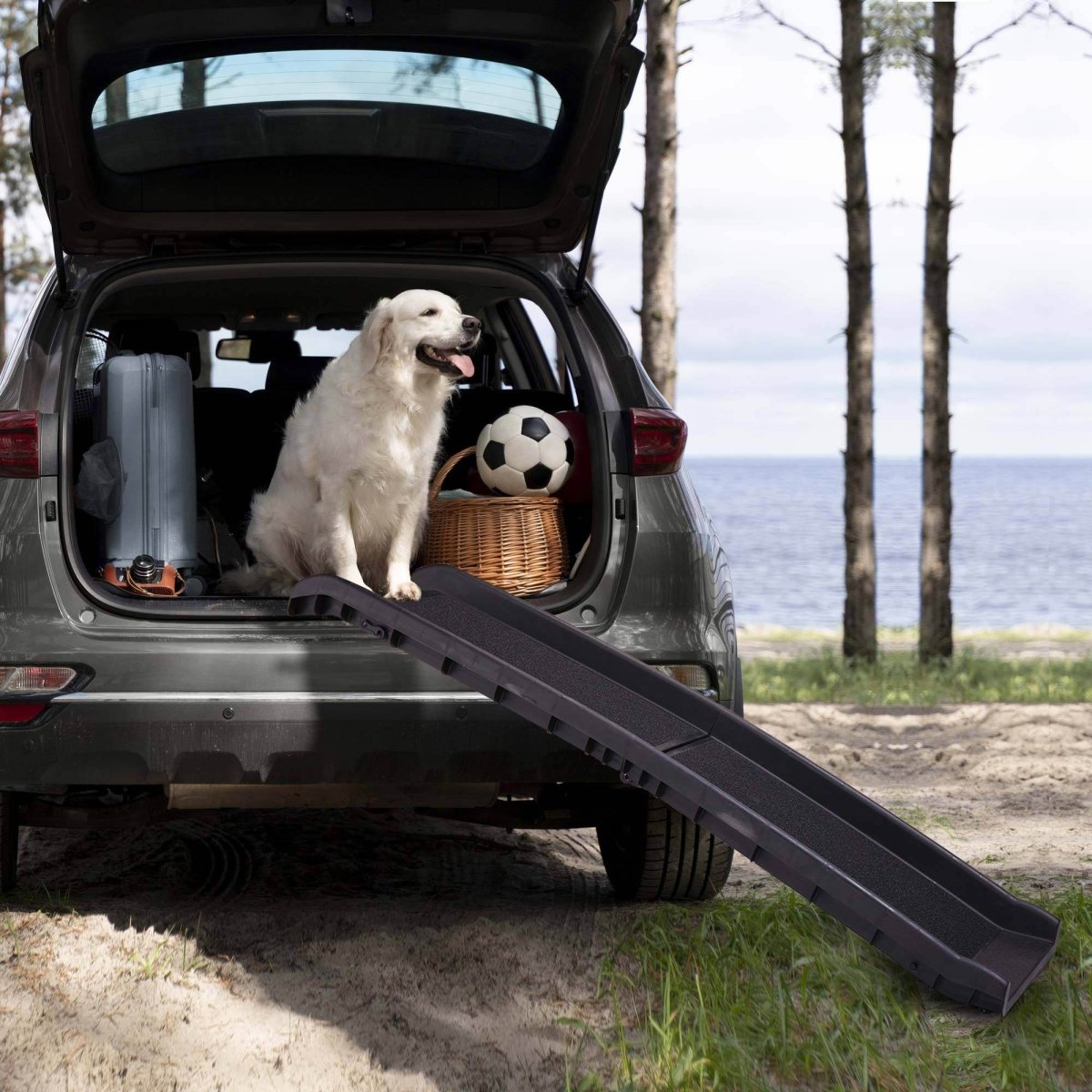 Portable Foldable Anti-Slip Pet Ramp Ladder - Omega Lifestyles
