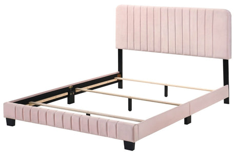 Full Velvet Foam Bed Frame With Modern Pink Finish - Restanew - Omega Lifestyles