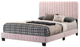 Full Velvet Foam Bed Frame With Modern Pink Finish - Restanew - Omega Lifestyles