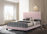 Full Velvet Foam Bed Frame With Modern Pink Finish - Restanew - Omega Lifestyles