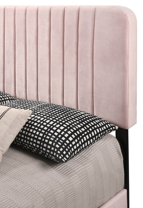 Full Velvet Foam Bed Frame With Modern Pink Finish - Restanew - Omega Lifestyles