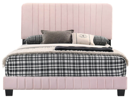 Full Velvet Foam Bed Frame With Modern Pink Finish - Restanew - Omega Lifestyles