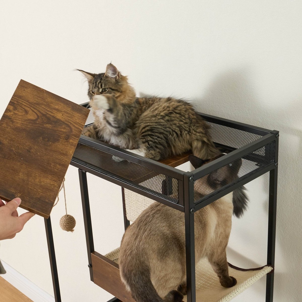 Multi - Functional Cat Furniture With Litter Box Enclosure - Restanew - Omega Lifestyles