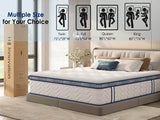 Queen Medium 12 - Inch Hybrid Pocket Spring Mattress - Restanew - Omega Lifestyles