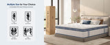 Queen Medium 12 - Inch Hybrid Pocket Spring Mattress - Restanew - Omega Lifestyles