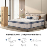 Queen Medium 12 - Inch Hybrid Pocket Spring Mattress - Restanew - Omega Lifestyles