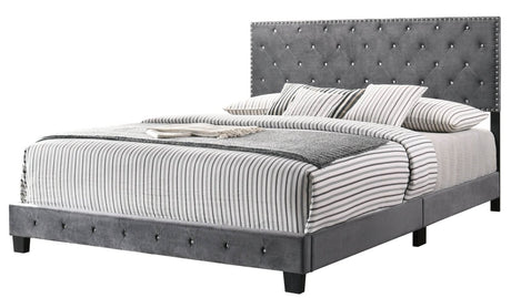 Transitional Gray Velvet King Bed Frame with Foam Upholstery - Restanew - Omega Lifestyles