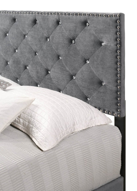 Transitional Gray Velvet King Bed Frame with Foam Upholstery - Restanew - Omega Lifestyles