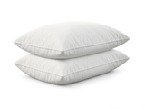 Set Of 2 Plush Extra Lofty Microfiber Bed Pillows - Omega Lifestyles