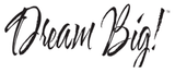 Set Of 2 Plush Microfiber Dream Big Bed Pillows - Sleep Galleria
