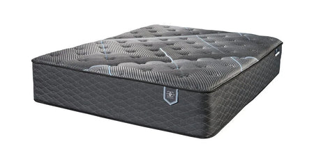 Soft 13-Inch Plush Cooling Hybrid Queen Mattress - Omega Lifestyles