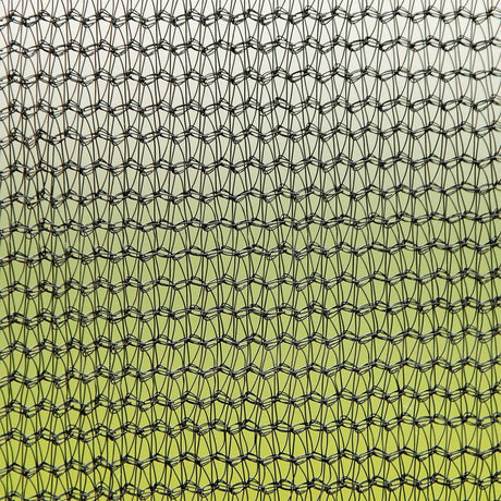 14FT Steel Outdoor Trampoline With Basketball Hoop Ladder - Omega Lifestyles