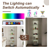 5-Tier Black Tempered Glass Display Cabinet With LED Lighting - Omega Lifestyles