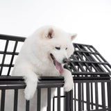 Heavy Duty 52-Inch Carbon Steel Dog Crate With Wheels - Omega Lifestyles