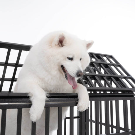 Heavy Duty 52-Inch Carbon Steel Dog Crate With Wheels - Omega Lifestyles