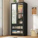 Modern 2-Door Armoire Wardrobe Closet With LED Light - Omega Lifestyles