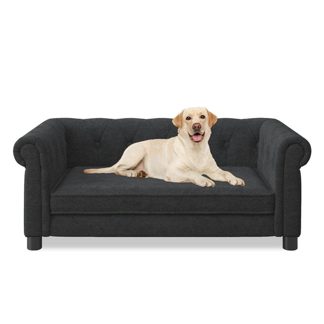 Modern Elevated Foam Pet Sofa Bed For Dogs - Omega Lifestyles